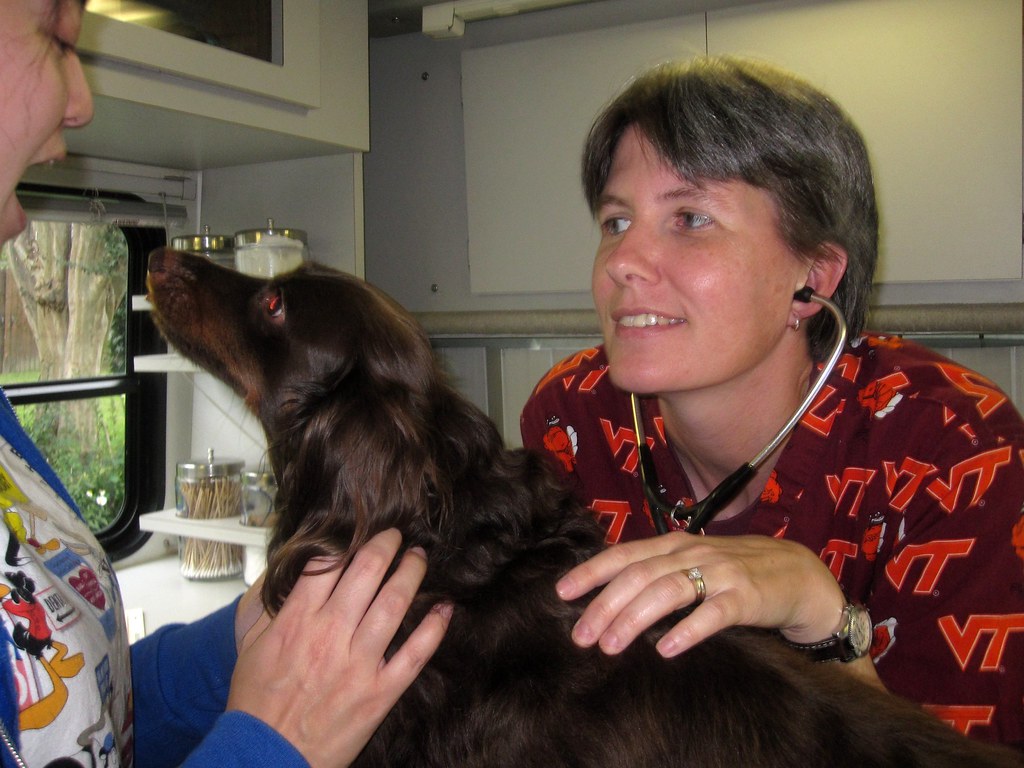 How to Choose a Good Veterinarian